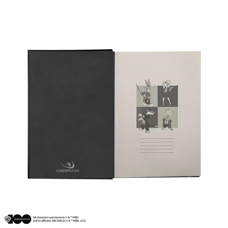 Carnet stylo Looney Toons à Poudlard - Harry Potter - WB 100th