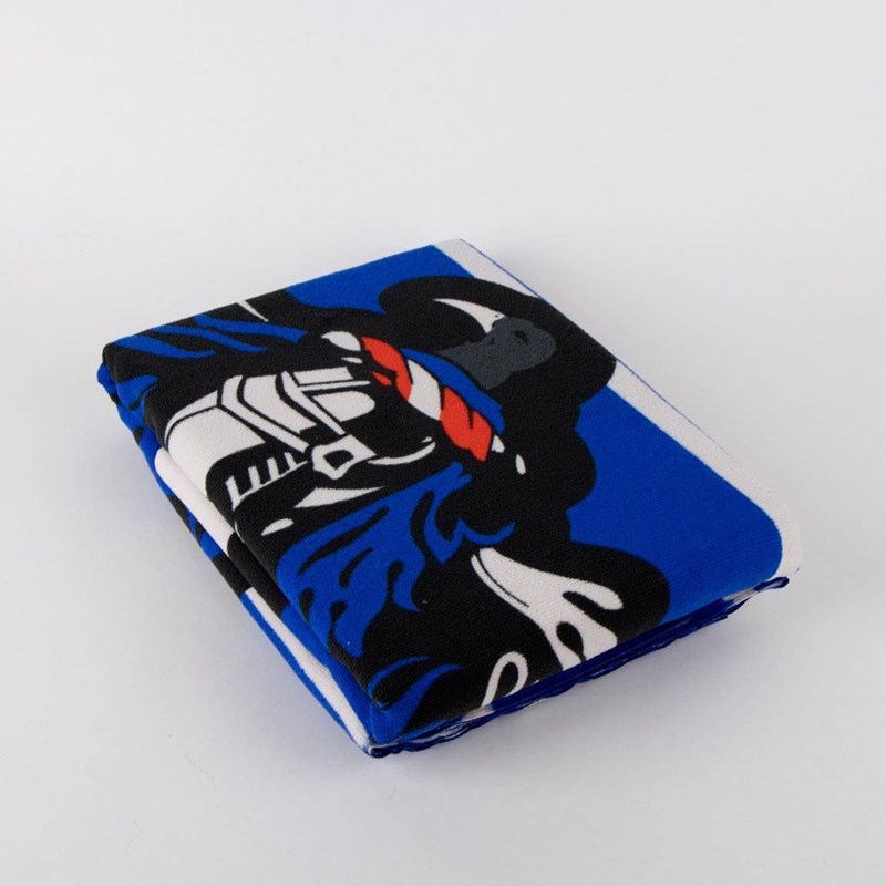 SERVIETTE DE PLAGE SERDAIGLE - HARRY POTTER