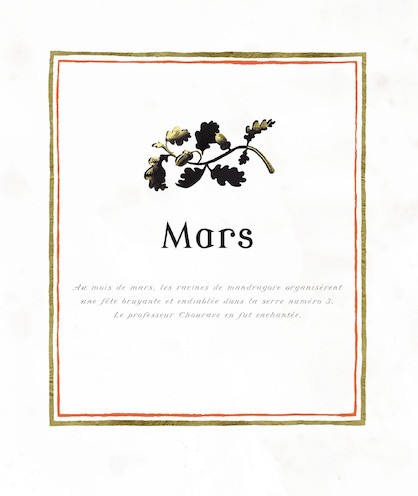 Harry Potter - Une Année de Magie - Illustré par Jim Kay