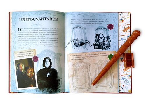 Sortilège, le guide la magie à Poudlard - Harry Potter