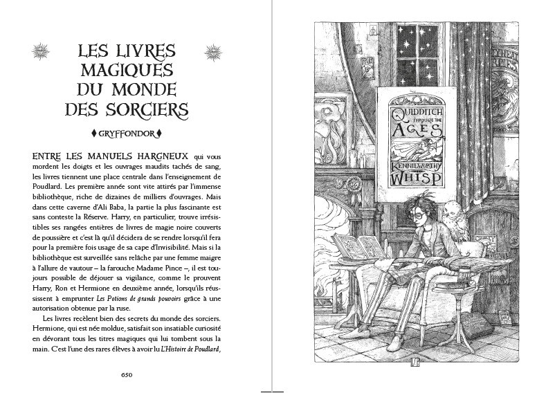 Edition Gryffondor 20 ans Harry Potter et le Prince de Sang Mêlé