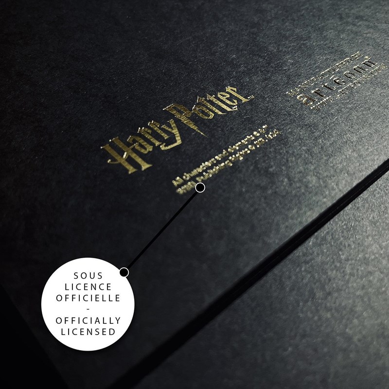 Artprint La Baguette d'Harry dorure à chaud - Harry Potter