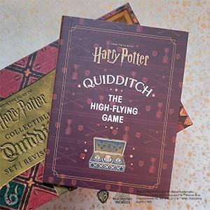 Malle de Quidditch balles amovibles - Harry Potter