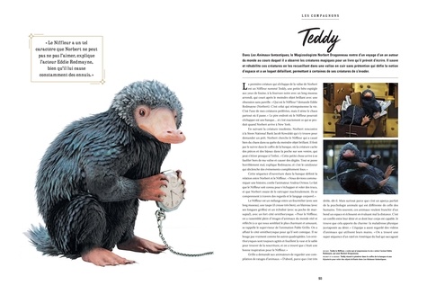 Le Grand Livre des Créatures - Harry Potter & Les Animaux Fantastiques