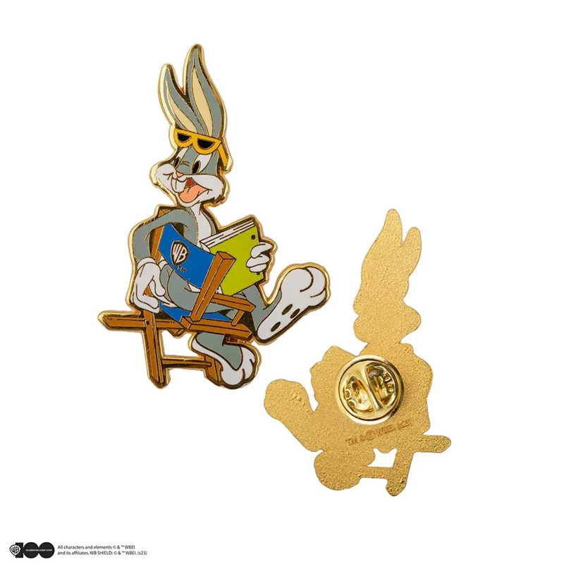 Set 2 pin's Looney Tunes à Poudlard - Harry Potter - WB 100th