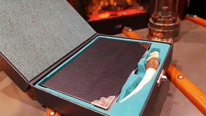 Coffret collector Dark Arts (Forces du Mal) - Harry Potter