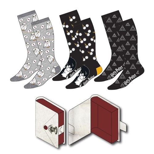 Coffret 3 paires chaussettes Harry Potter 41/45