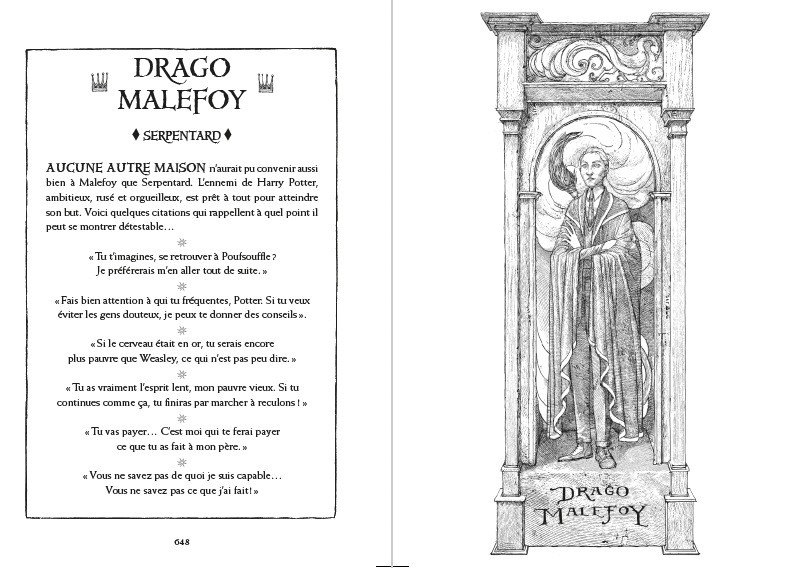 Edition Serpentard 20 ans Harry Potter et le Prince de Sang Mêlé