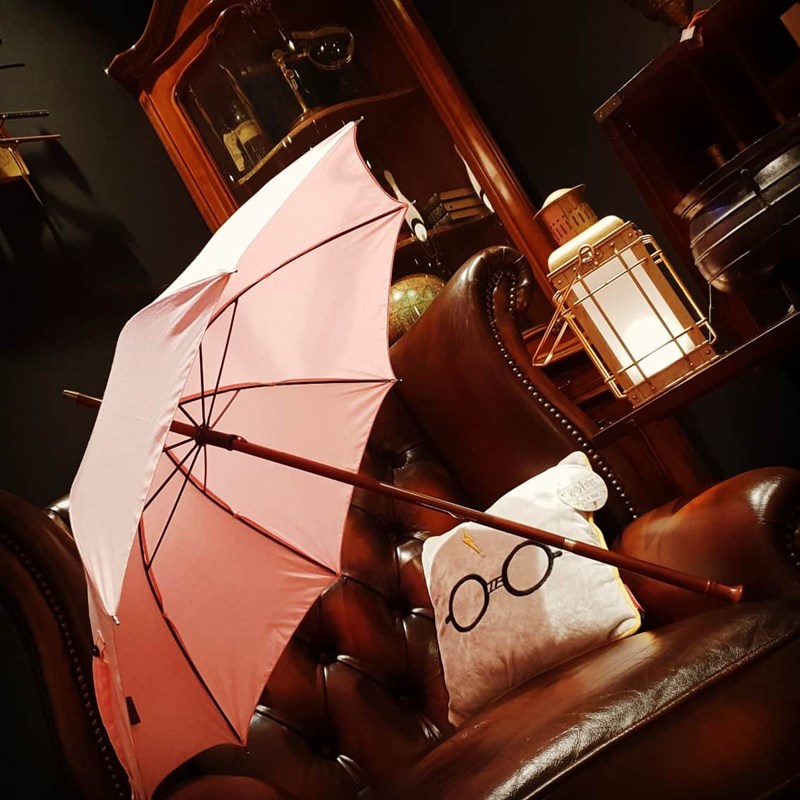 Baguette Hagrid parapluie - Harry Potter