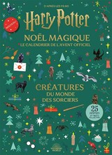 CALET3IOJQ_3_calendrier-de-l-avent-harry-potter-gallimard1.jpg