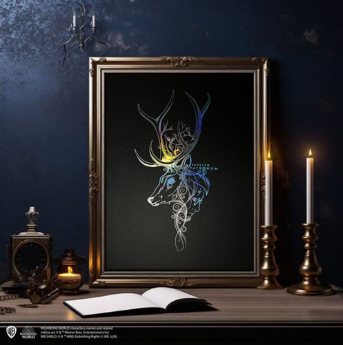 POSTMPR1RW_1_poster-patronus-haut-de-gamme-harry-potter.JPG