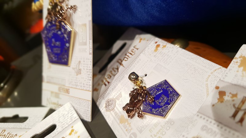 Slider charm pendentif Chocogrenouille - Harry Potter