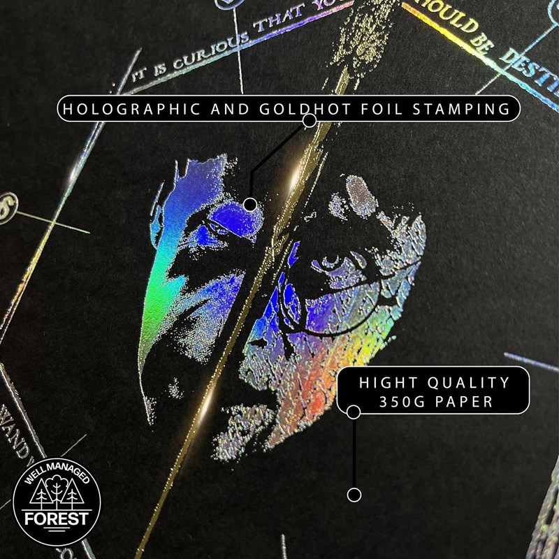 Artprint Le Portrait d'Harry dorure à chaud - Harry Potter