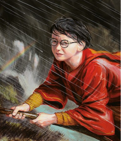 Harry Potter - Une Année de Magie - Illustré par Jim Kay