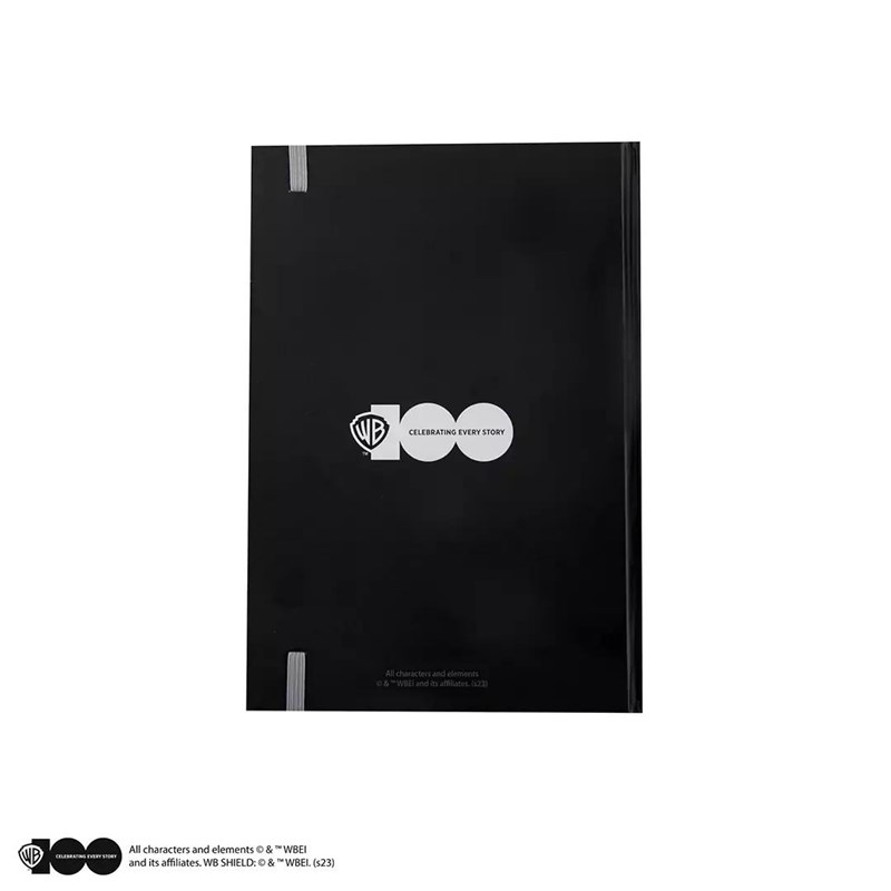 Carnet stylo Looney Toons à Poudlard - Harry Potter - WB 100th