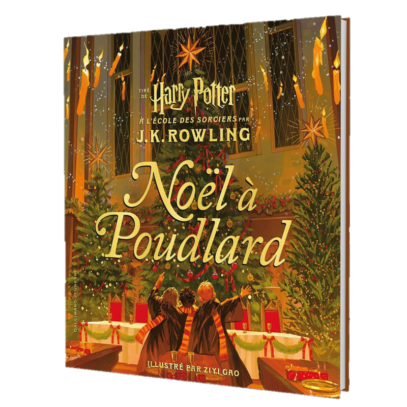 Noël à Poudlard - Livre Harry Potter