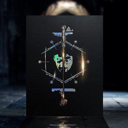 Artprint Le Portrait d'Harry dorure à chaud - Harry Potter