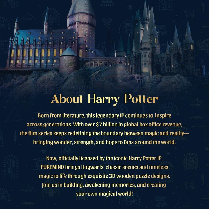 Puremind x Harry Potter Talking Sorting Hat 1632