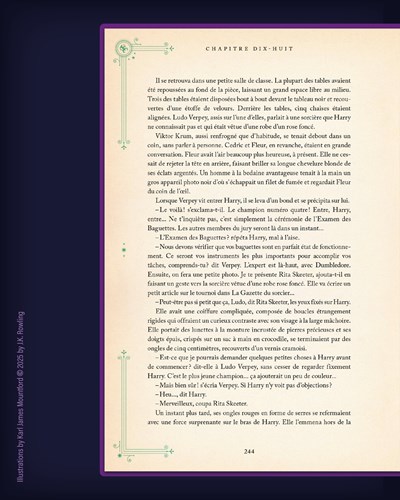 harry potter et la coupe de feu illustré par karl james mountford2 (1)