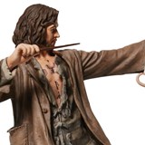 FIGUFS8LA4_4_tatouages-sirius-black-figurine-croutard-harry-potter.jpg