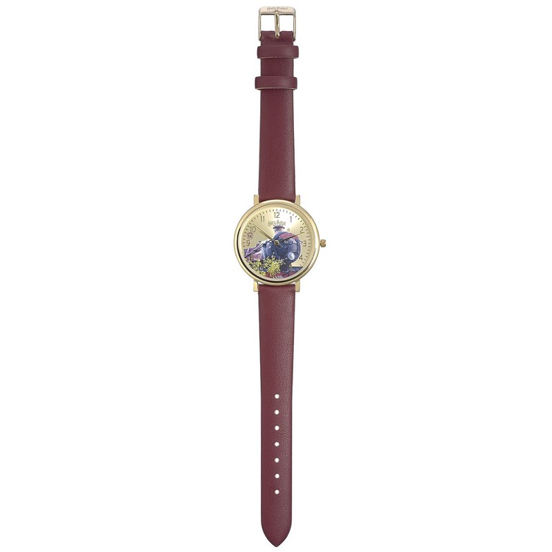 Montre Poudlard Express