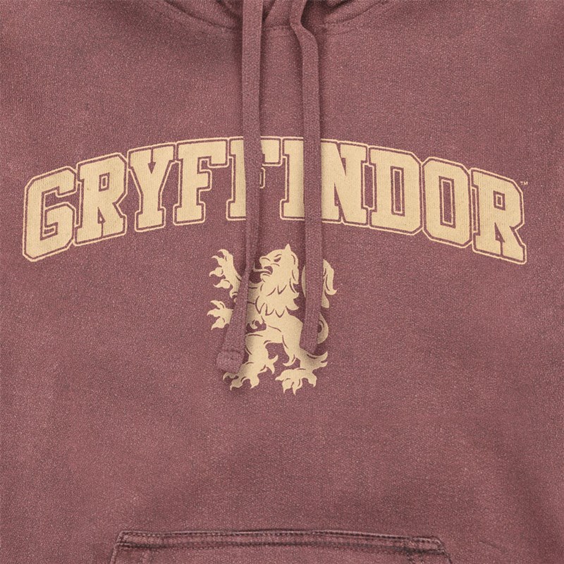 Sweat à capuche vintage Gryffondor - Harry Potter