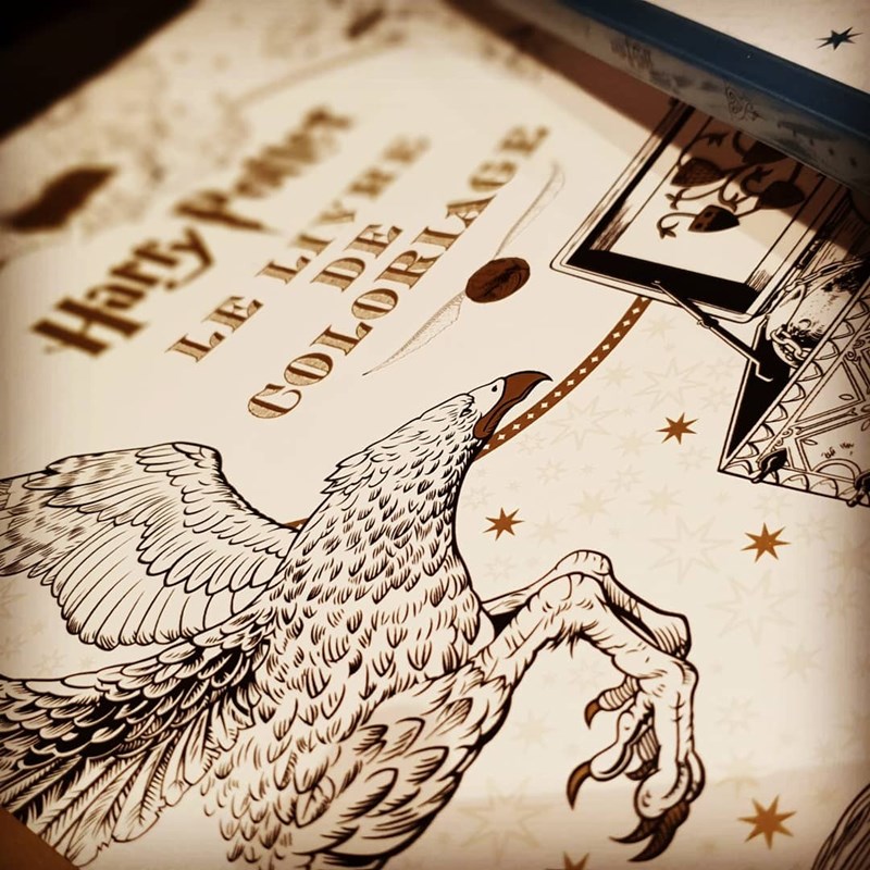 Harry Potter - Le Livre de Coloriage