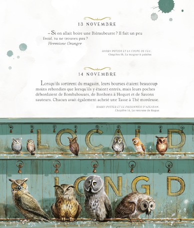 Harry Potter - Une Année de Magie - Illustré par Jim Kay