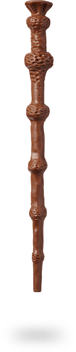 BAGUR9QFL6_2_baguette-en-chocolat-albus-dumbledore.png