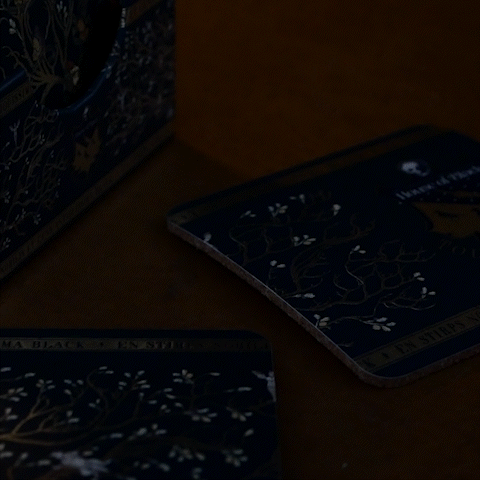 4 sous-verres Tapisserie Famille Black - Harry Potter