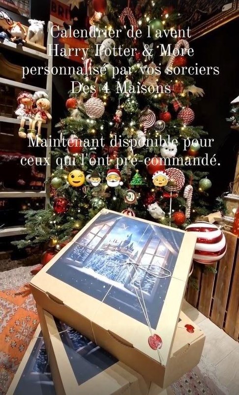 Calendrier de l'avent Harry Potter & More personnalisé Les 4 Maisons 2025