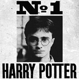 POSTXGAIUF_2_affiche-harry-potter-undesirable-n1-minalima.jpg