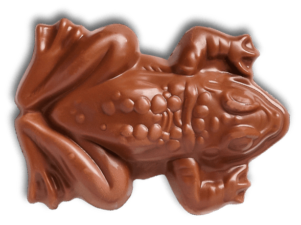 Chocogrenouille en chocolat - Harry Potter