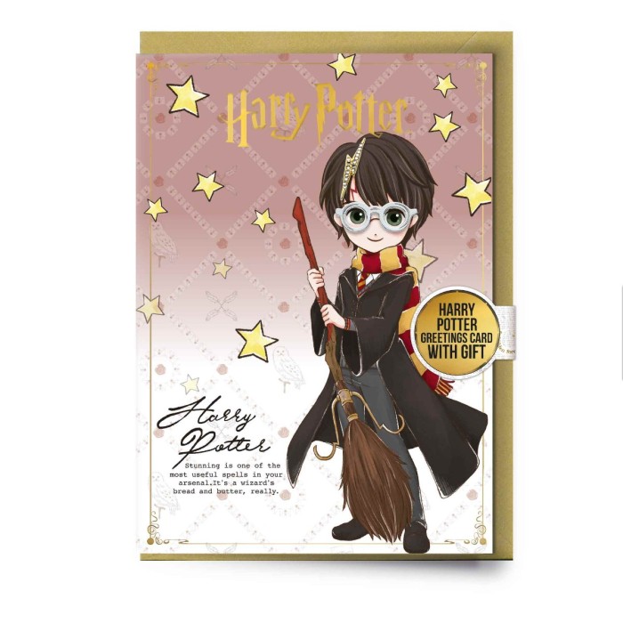 Carte de voeux pins Harry Potter