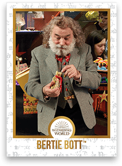 Chocogrenouille en chocolat - Harry Potter