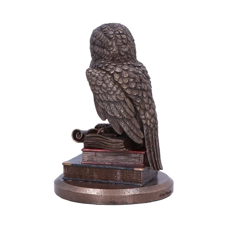 Statuette hiboux sur livres en bronze - 14,5 cm