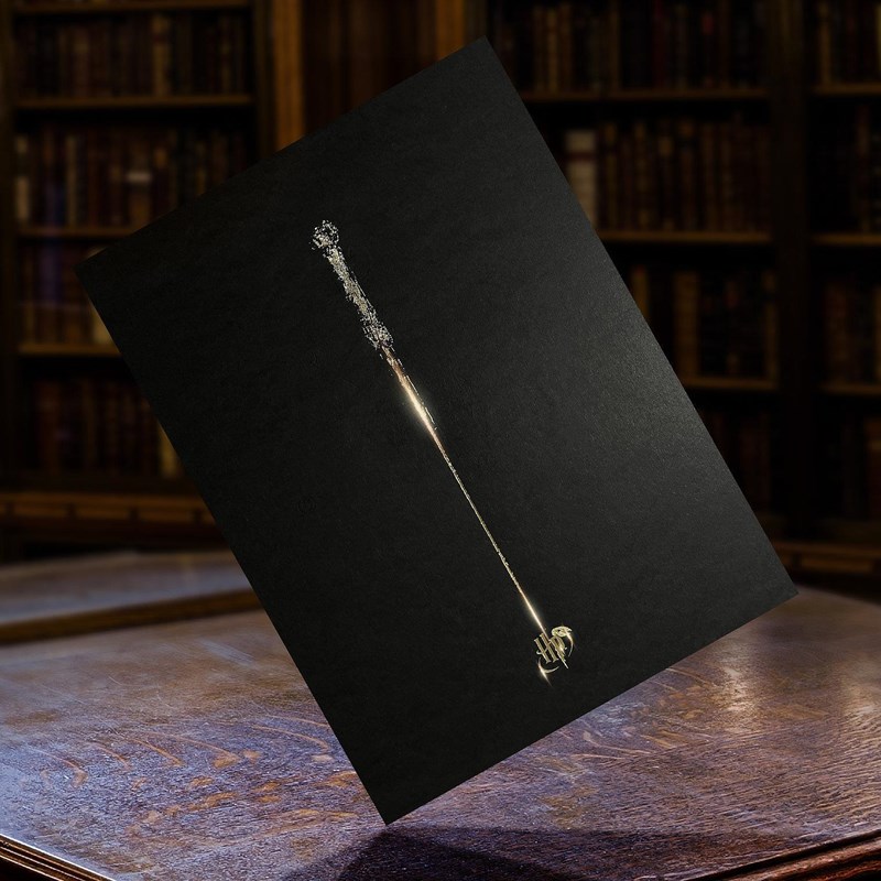 Artprint La Baguette d'Harry dorure à chaud - Harry Potter