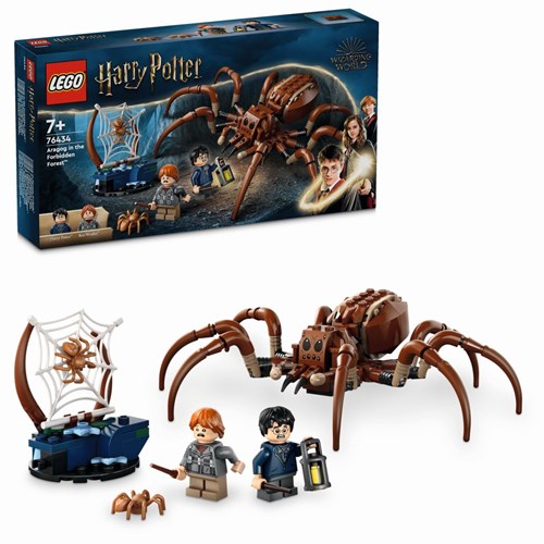 LEGOT6R91Z_1_LEGO-aragog-foret-interdite-76434-harry-potter4.jpg