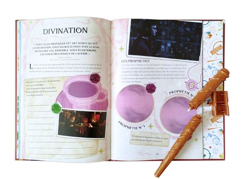 Sortilège, le guide la magie à Poudlard - Harry Potter
