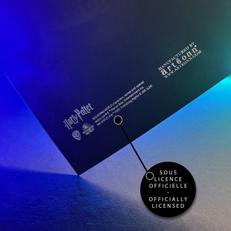 Artprint Hedwige dorure à chaud - Harry Potter