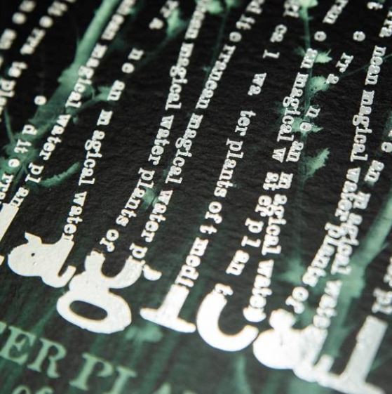 Carte de voeux - Propriétés plantes aquatiques