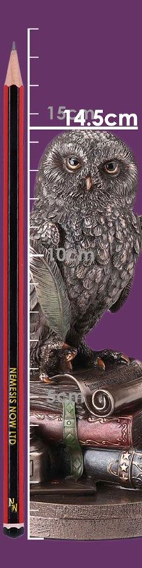 Statuette hiboux sur livres en bronze - 14,5 cm