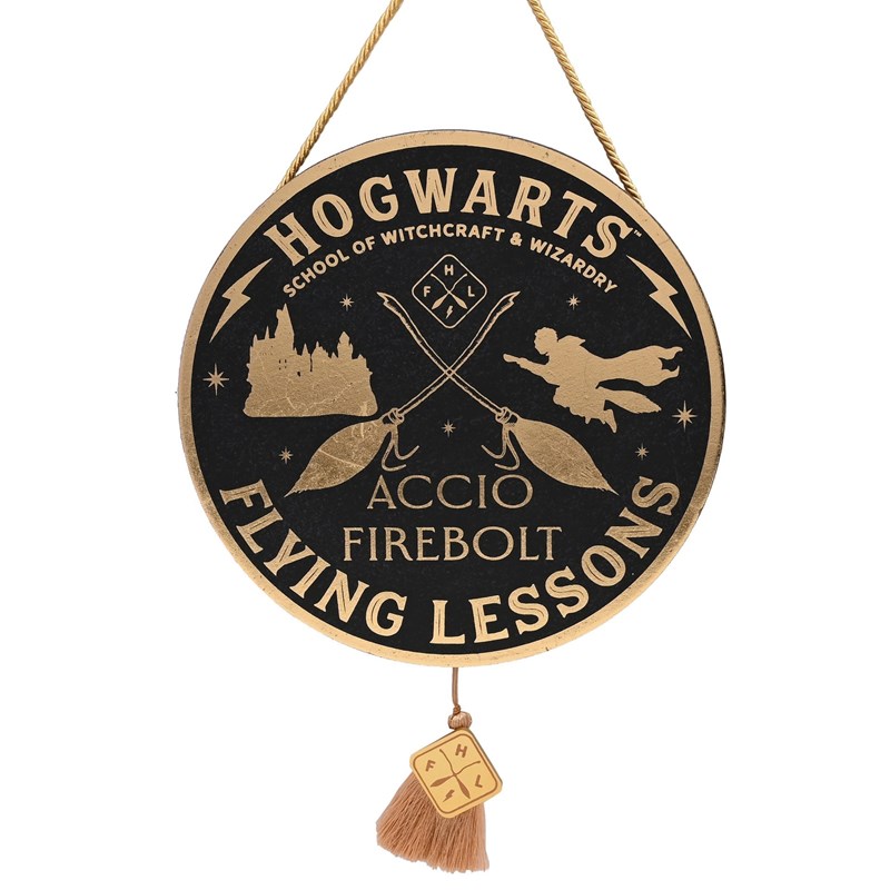 Plaque suspendue Flying Lesson - Harry Potter
