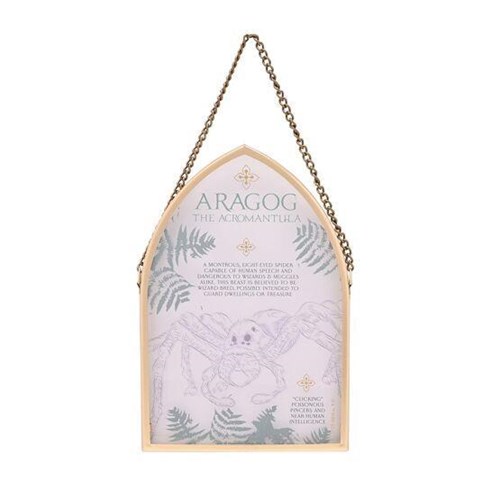 Plaque en verre voûtée suspendue Aragog - Harry Potter