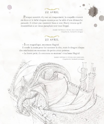 Harry Potter - Une Année de Magie - Illustré par Jim Kay