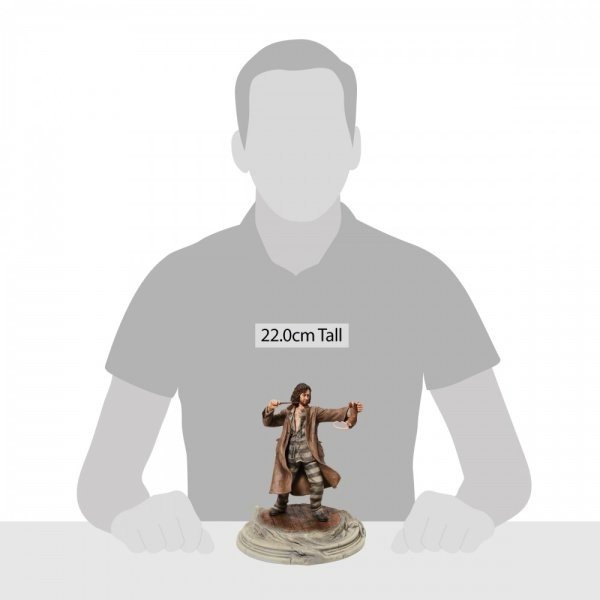 Figurine Sirius Black Prisonnier & Croutard - Harry Potter