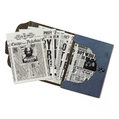 Lot 20 Cartes Postales The Daily Prophet