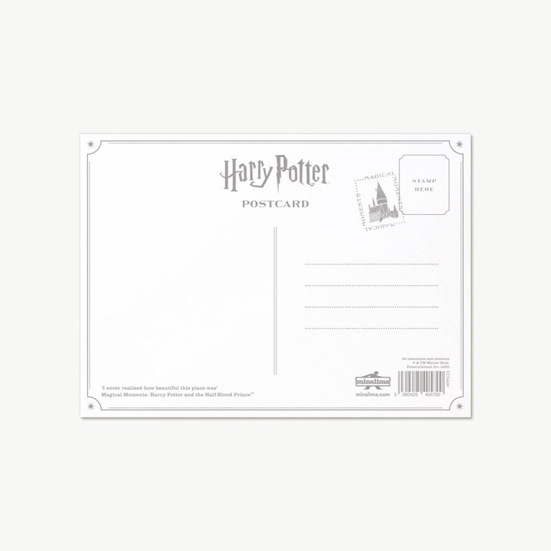 Carte postale Harry Potter par MinaLima - 'I never realised how beautiful this place was'