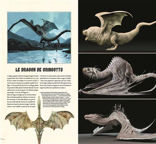 Des ROmans à l'Écran - Harry Potter