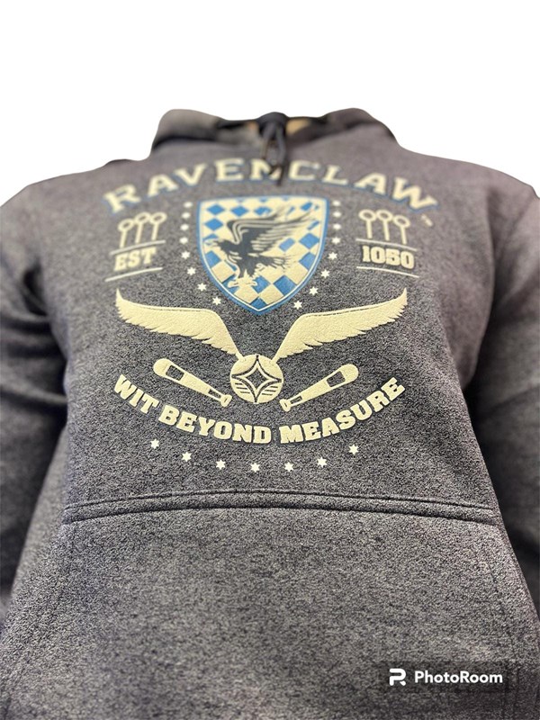 Sweat à capuche hoodie Serdaigle Quidditch - Harry Potter